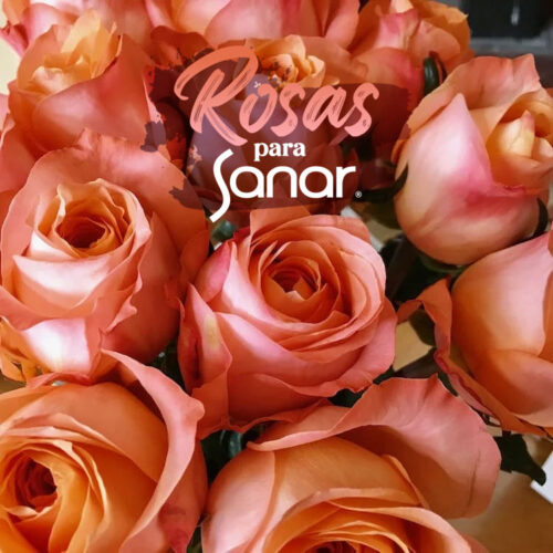 · Rosas para Sanar